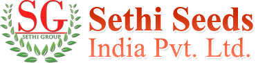 Sethi Seeds India Pvt. Ltd.