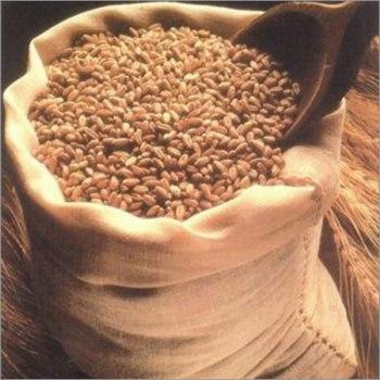 Conventional Wheat