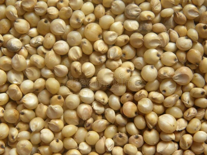Jowar Whole