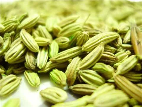 Fennel Seeds
