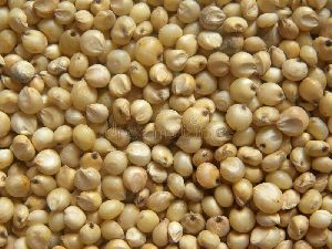 Jowar Whole
