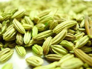 Fennel Seeds