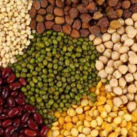 Indian Pulses