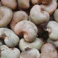 Raw Cashew Nuts