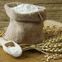 Wheat Flour